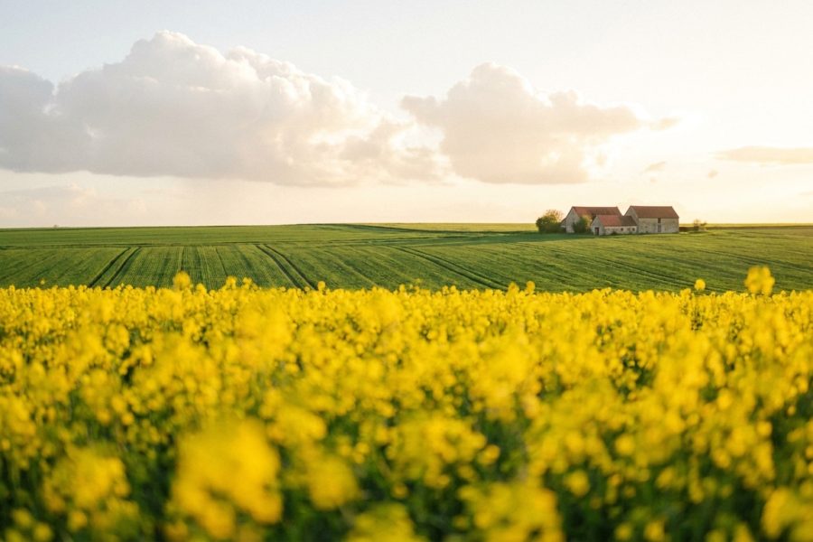 L’Almanach du printemps : ce qu’il faut faire entre mars et mai, et pourquoi les gestes d’avril dépendent de décisions de janvier
